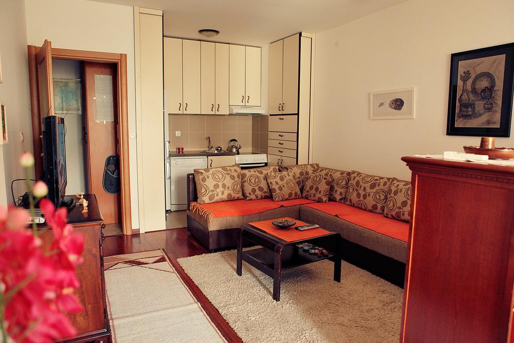 Studio Apartment Nika Andusa Petrovac Rom bilde